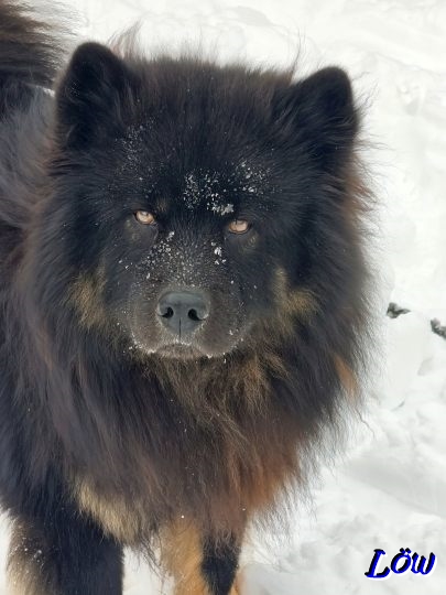 20.2.2026 - Etwas mehr auf der Kuheide